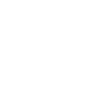 Payment